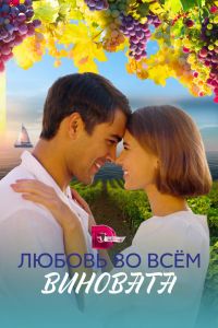 Сериал: Любовь во всём виновата