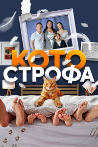 Сериал: Котострофа